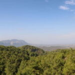 Rhodes: Safari with our driver - North - Pick ups East Coast - An In-Depth Look at the Rhodes Safari Experience