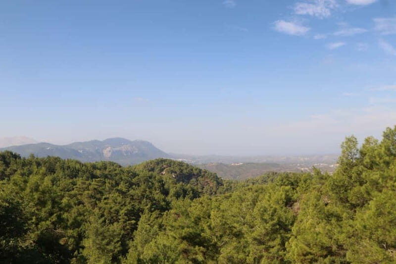 Rhodes: Safari with our driver - North - Pick ups East Coast - An In-Depth Look at the Rhodes Safari Experience