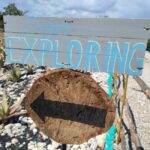 Rhodes:Explore the farm's paths & discover aloe vera & herbs - Who Should Consider This Tour?