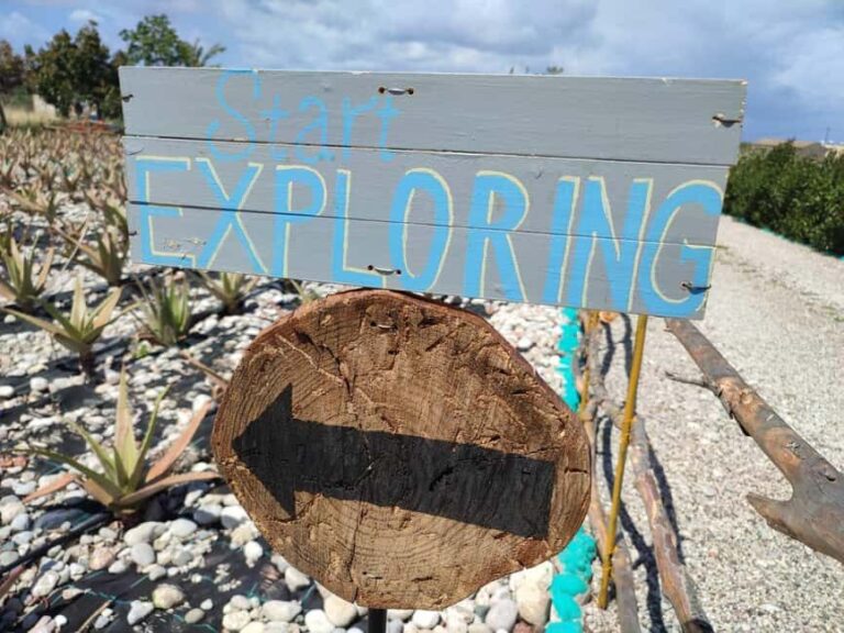 Rhodes:Explore the farm's paths & discover aloe vera & herbs - Who Should Consider This Tour?