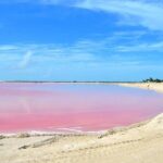 Ría Lagartos Biosphere Reserve & Las Coloradas Adventure - What Makes This Tour Stand Out?