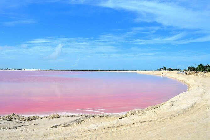 Ría Lagartos Biosphere Reserve & Las Coloradas Adventure - What Makes This Tour Stand Out?