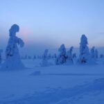 Riisitunturi National Park Snowshoe Adventure - The Campfire Break and Lunch