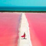 Rio Lagartos and Las Coloradas Day Tour from Cancun - FAQ