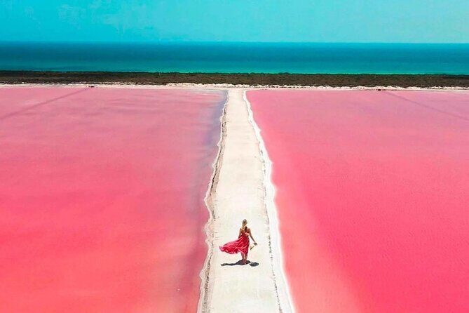 Rio Lagartos and Las Coloradas Day Tour from Cancun - FAQ