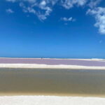Rio Lagartos and Las Coloradas: EcoSafari Flamingo classic - Why This Tour Offers Great Value