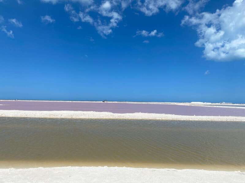 Rio Lagartos and Las Coloradas: EcoSafari Flamingo classic - Why This Tour Offers Great Value