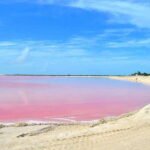 Rio Lagartos: Wondeful Pink Waters and Boat Ride - Who Will Enjoy This Tour?