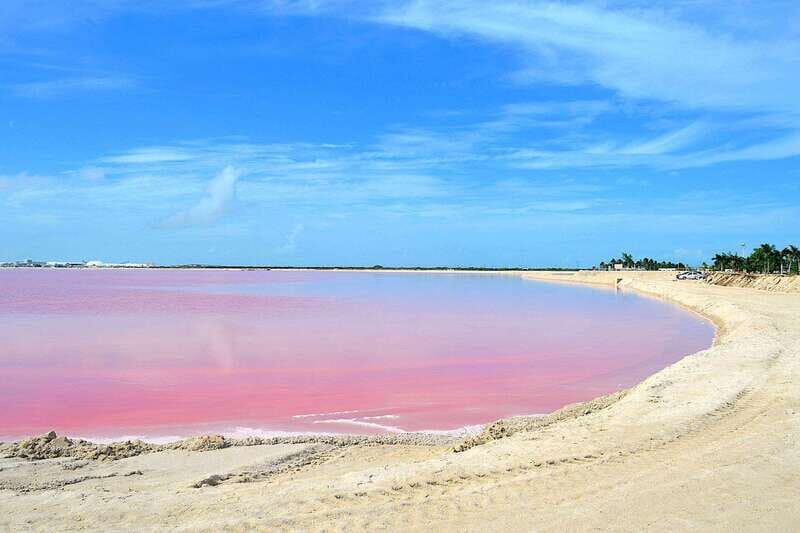 Rio Lagartos: Wondeful Pink Waters and Boat Ride - Who Will Enjoy This Tour?