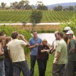 Rioja Winery & Traditional Lunch From Pamplona or Logroño - Exploring the Rioja Winery & Traditional Lunch Tour