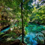 Riviera Maya: EcoPark Kantun-Chi Cave Adventure - Who Is This Tour Best For?