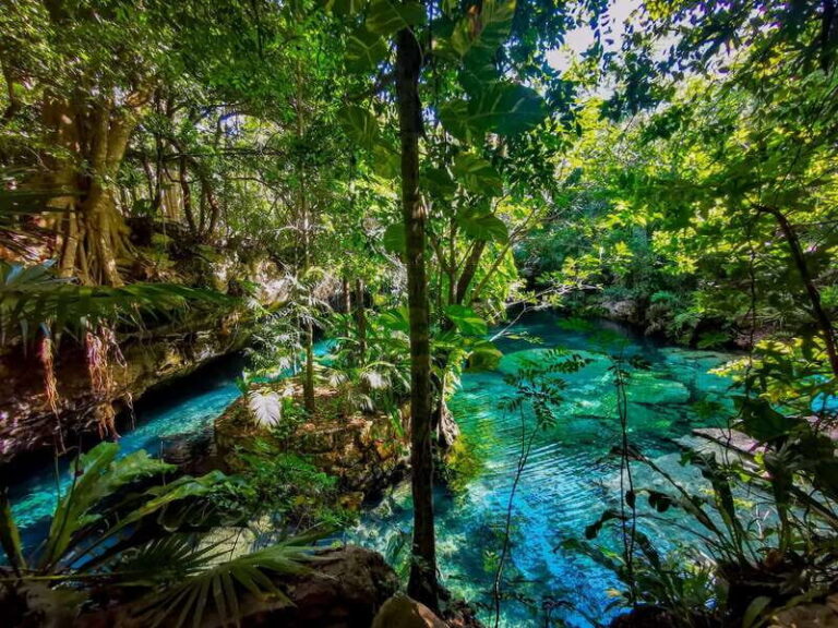 Riviera Maya: EcoPark Kantun-Chi Cave Adventure - Who Is This Tour Best For?