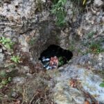 Riviera Maya: Nado con Tortugas, Cenote y Almuerzo mexicano. - What to Expect at Each Stop