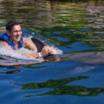 Riviera Maya: Swim with dolphins Interax - Pricing and Value