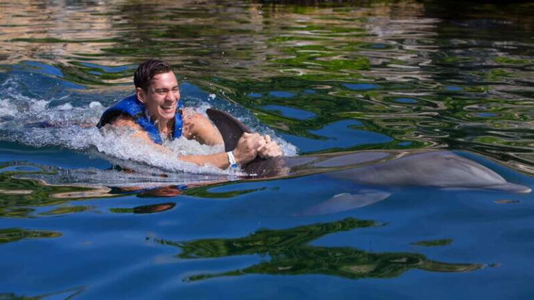 Riviera Maya: Swim with dolphins Interax - Pricing and Value
