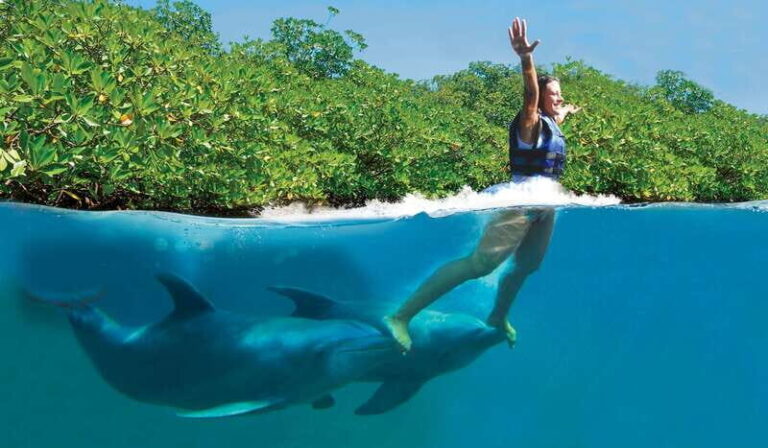 Riviera Maya: Swim with dolphins Primax - The Value of the Experience