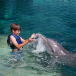 Riviera Maya: Swimming Experience with Dolphins - Practical Tips for Your Dolphin Experience