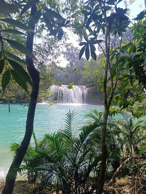 Roberto Barrios Waterfalls from Palenque - Who Should Consider This Tour?