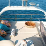 Rodman 38 Flybridge - Blue Lagoon Charters - What Makes This Tour Stand Out?