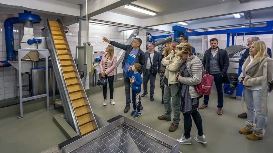 Roga: Solta Island Wine, Honey, and Olive Oil Tasting Tour - Learning About Bees and Their Role in Nature