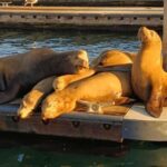 Romantic Boat Cruise with Wine & Cheese or Surprise Dinner - The Experience at a Glance