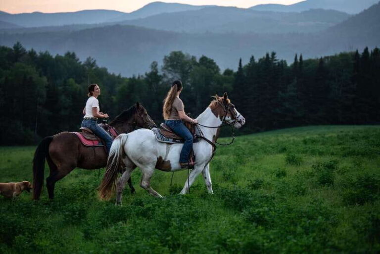 Romantic horseback riding at sunset : La Crépuscule - The Sum Up: Is La Crépuscule Worth It?