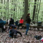 Rotenburg an der Fulda: Forest bathing with a certified guide - Practical Details & What’s Included