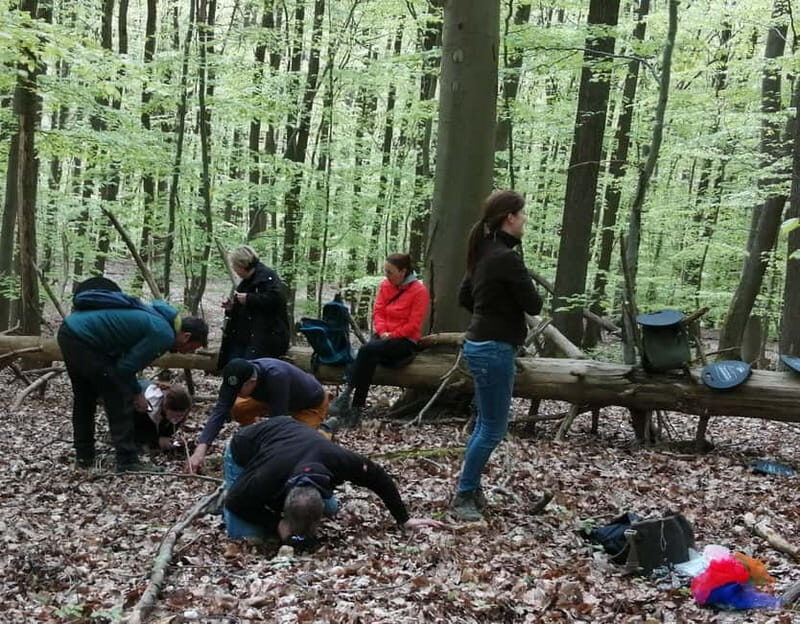 Rotenburg an der Fulda: Forest bathing with a certified guide - Practical Details & What’s Included