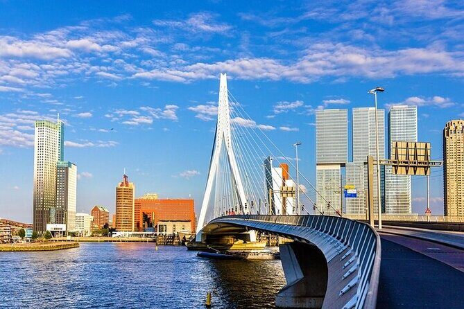 Rotterdam Architectural Walking Tour With A Guide (Private Tour) - What to Expect During the Tour