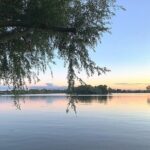 Rotterdam countryside on the wheels - bike tour around city - Stop 2: Wilgenplaspark – A Wildlife Haven