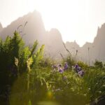 Round Trip Bus Transfer to Juta from Kazbegi - What You Can Expect from This Bus Transfer