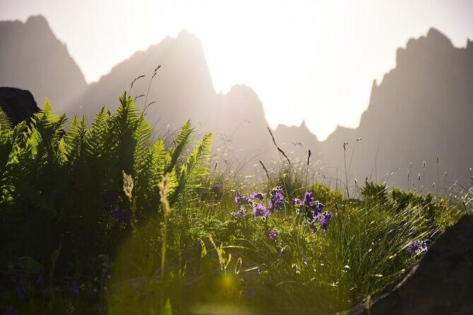 Round Trip Bus Transfer to Juta from Kazbegi - What You Can Expect from This Bus Transfer