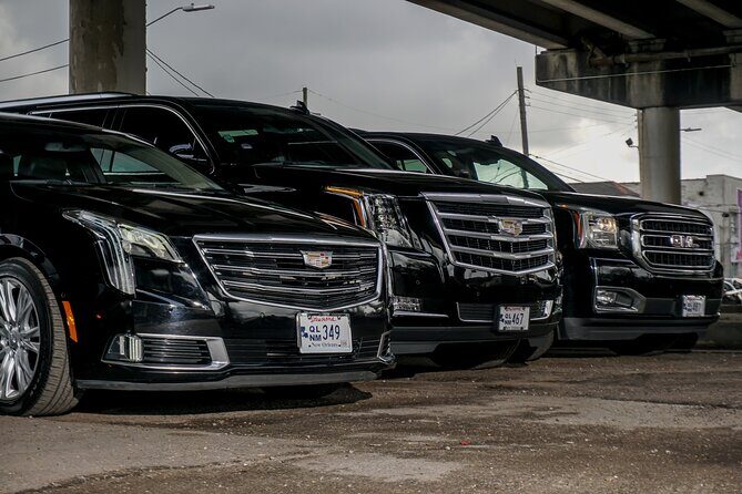 Round-Trip Transportation|LSU Football Games from New Orleans - An In-Depth Look at the LSU Football Game Day Transportation Service