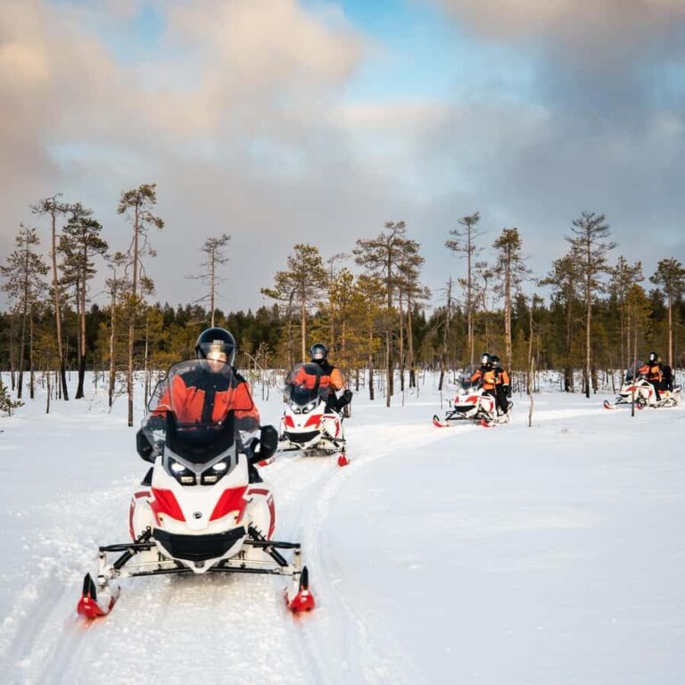 Rovaniemi: 3h Electric Snowmobile Safari at Reindeer Farm - The Value of This Experience