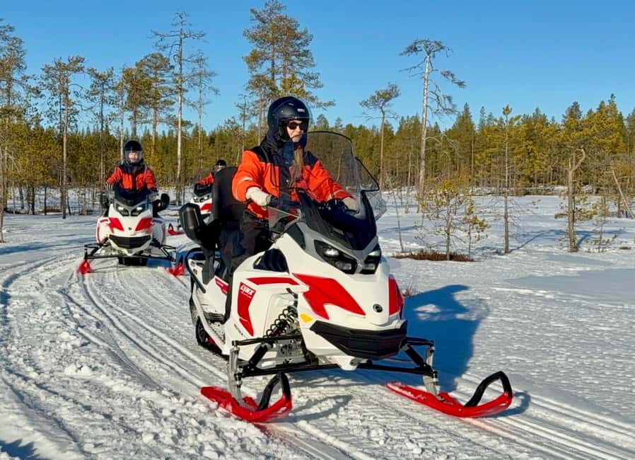 Rovaniemi: 4h Electric Snowmobile Safari at Reindeer Farm - What to Expect on the Tour