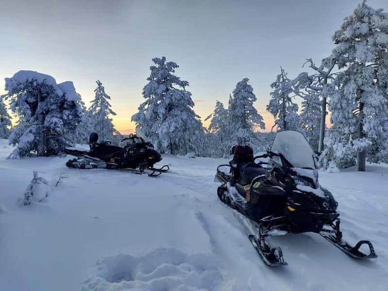 Rovaniemi: Backwoods Adventure Full Day Snowmobile Safari - Why This Tour Might Be Perfect for You