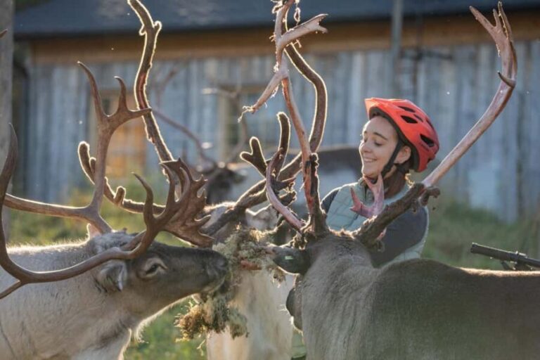 Rovaniemi: E-fatbike Trip to the Reindeer Farm - The Value of This Experience
