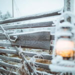 Rovaniemi: Early Winter Reindeer Sleigh Ride 1-2 km - Additional Details and Tips