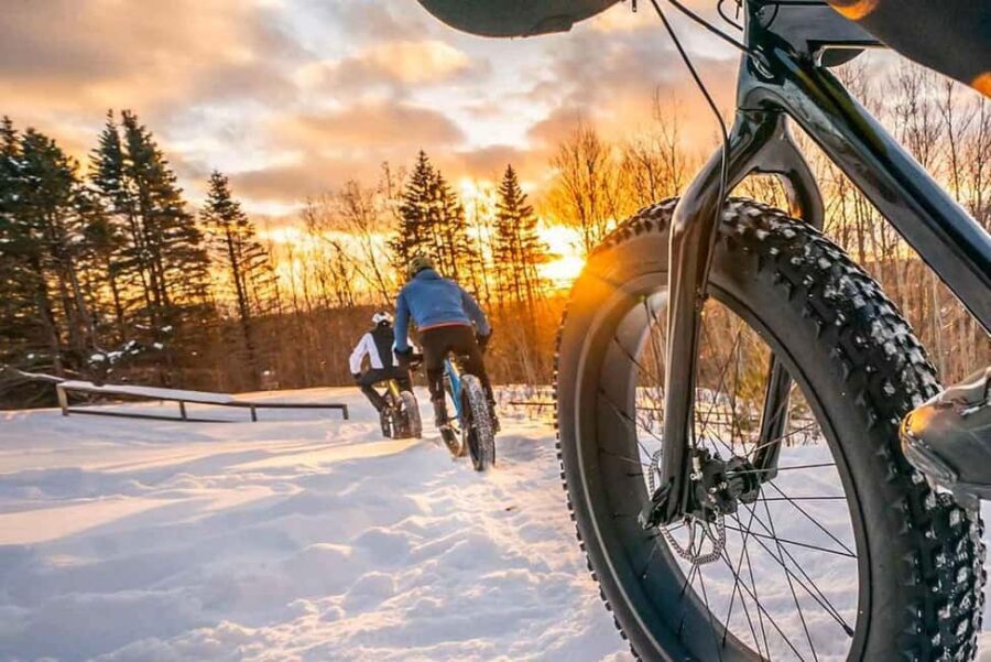 Rovaniemi: Electric Fatbike Rental with Helmet - The Sum Up