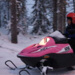 Rovaniemi: Family Snowmobile Safari - The Sum Up
