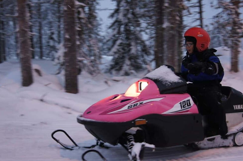 Rovaniemi: Family Snowmobile Safari - The Sum Up