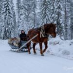 Rovaniemi: Horse-Drawn Sleigh Ride with Snacks and Transfer - A Closer Look at the Experience