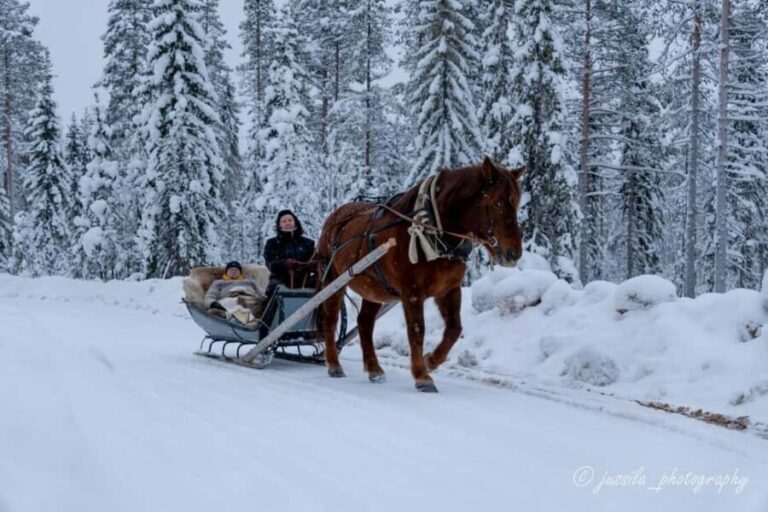 Rovaniemi: Horse-Drawn Sleigh Ride with Snacks and Transfer - A Closer Look at the Experience  