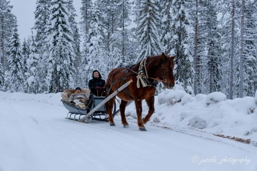Rovaniemi: Horse-Drawn Sleigh Ride with Snacks and Transfer - A Closer Look at the Experience