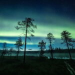 Rovaniemi: Horse Sleigh Ride under the Night Sky - The Itinerary in Detail