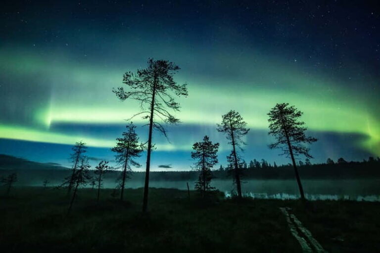 Rovaniemi: Horse Sleigh Ride under the Night Sky - The Itinerary in Detail