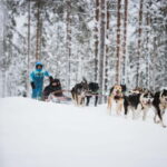 Rovaniemi: Husky Farm and Reindeer Experience - Is It Worth the Price?