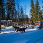 Rovaniemi: Husky Safari & Campfire BBQ  610 km SelfDrive - Practical Details & Tips