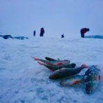 Rovaniemi: Ice Fishing by Snowmobile - Who This Tour Is Perfect For