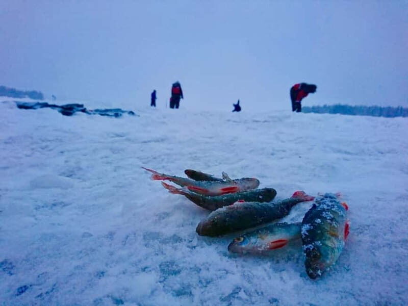 Rovaniemi: Ice Fishing by Snowmobile - Who This Tour Is Perfect For